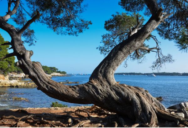 Coffret 