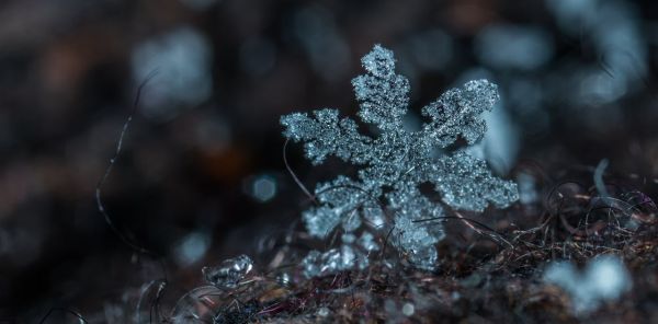 Gommage Cristaux de Neige (30 Min.)
